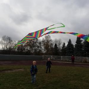 draci-06.jpg
