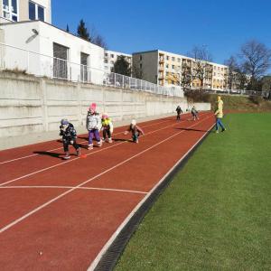img-20250321-wa0014.jpg