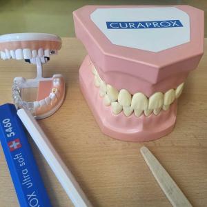 sd-beseda-dentalni-hygiena-2026-003.jpg